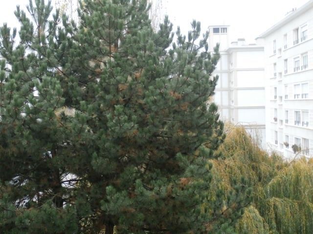 Appartement 4 SAINT ROCH -  Proximité Square Saint Roch - APPARTEMENT VENDU.